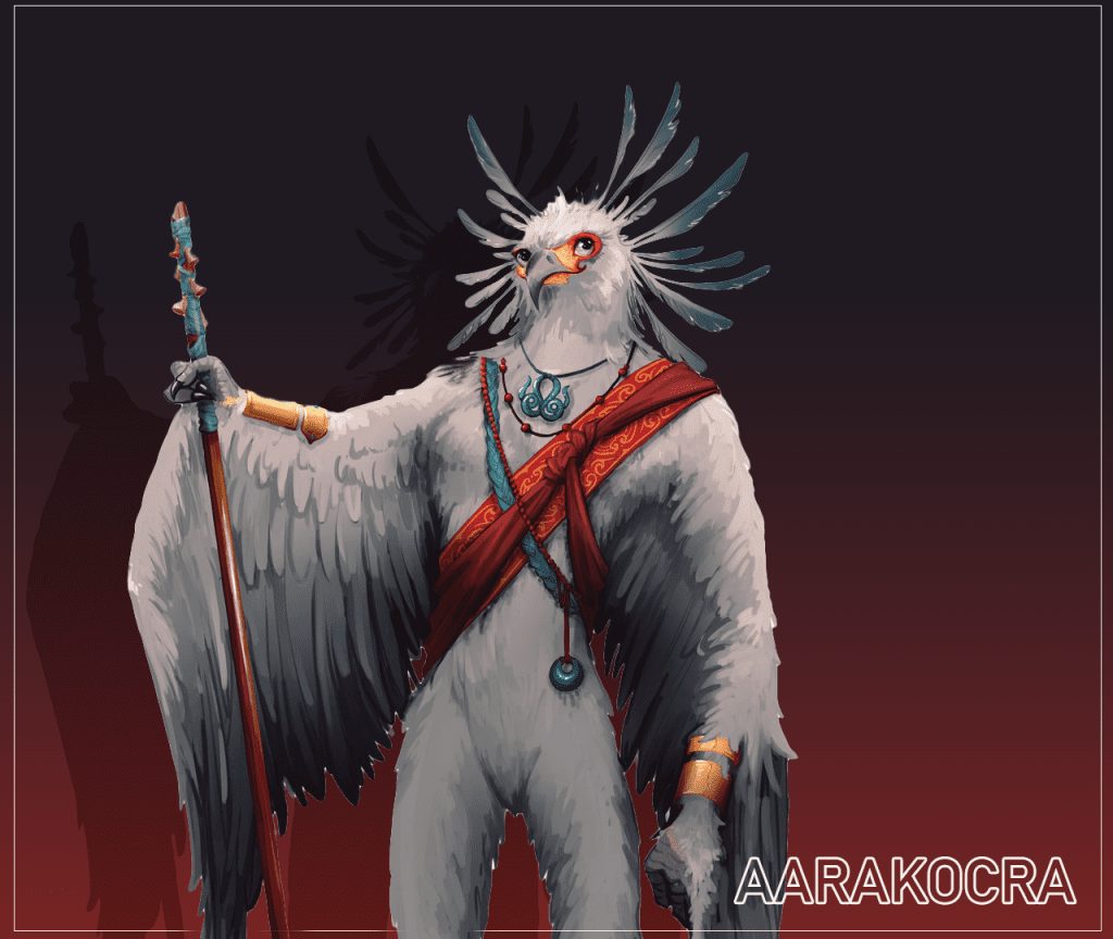 An overview of Aarakocra’s life and a description of its abilities and characteristics